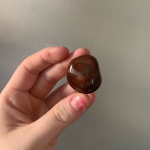 Healing tumbled petrified wood crystal